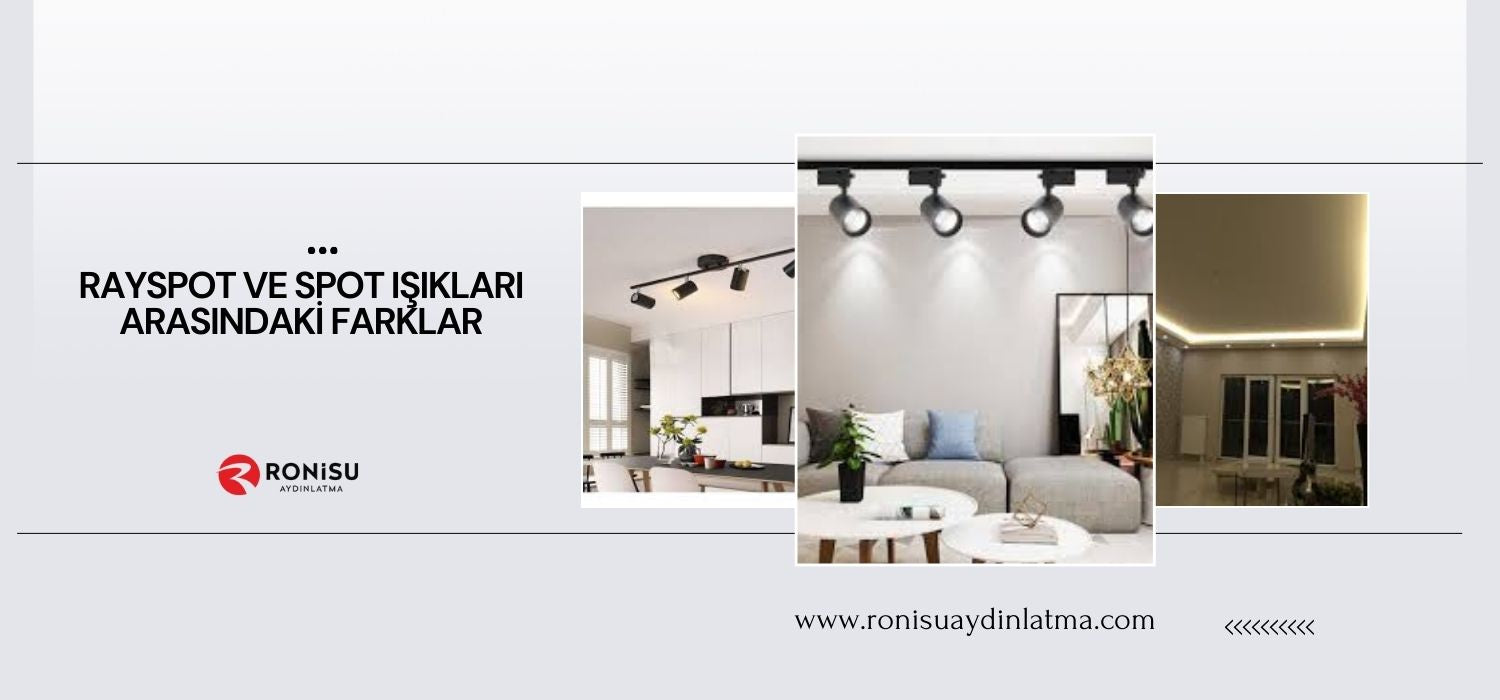 Rayspot ve Spot Işıkları Arasındaki Farklar